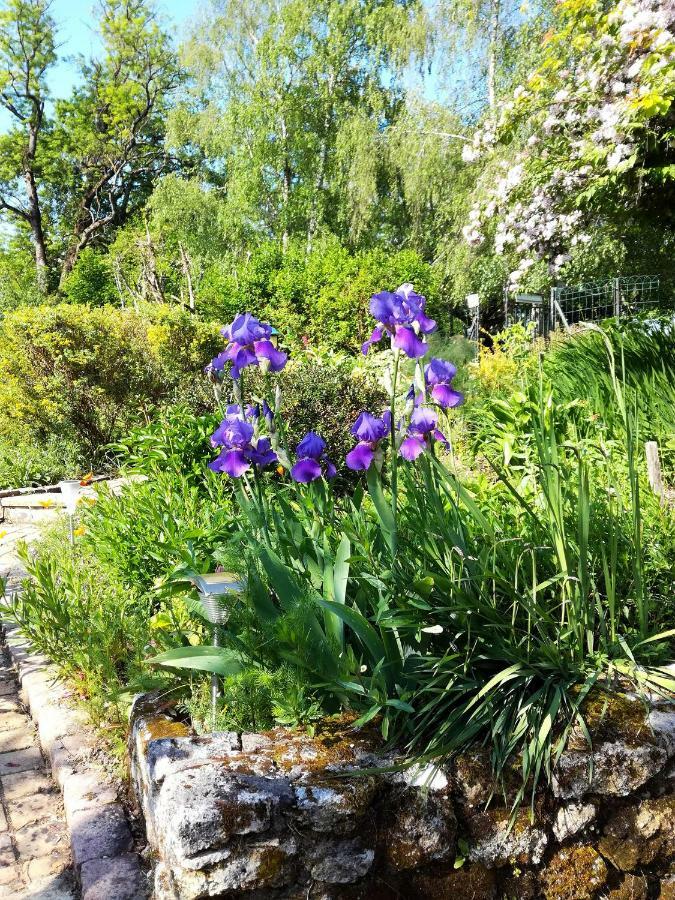 Les Jardins De Camelot Bed and Breakfast Villegouge Eksteriør billede